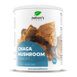 Chaga i pulverform