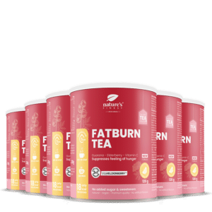 FatBurn Tea 6x