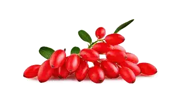 Rebersa® (berberin-ekstrakt)