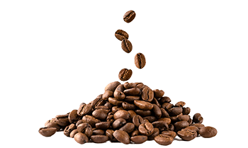 Instantkaffe (Coffea arabica L.)
