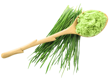 Byggræs i pulverform