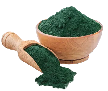 Spirulina